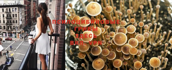 мдма Саяногорск