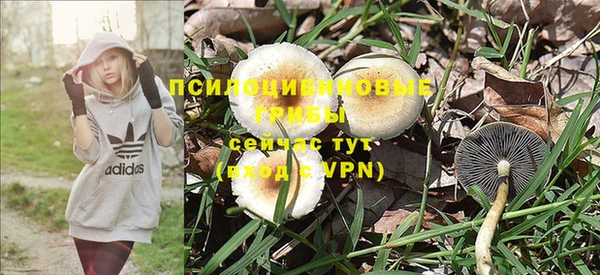 МДПВ Волосово