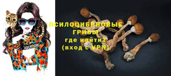 тгк Сафоново