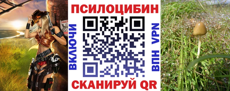 Галлюциногенные грибы Magic Shrooms  kraken ONION  Дорогобуж 